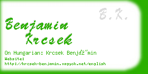 benjamin krcsek business card